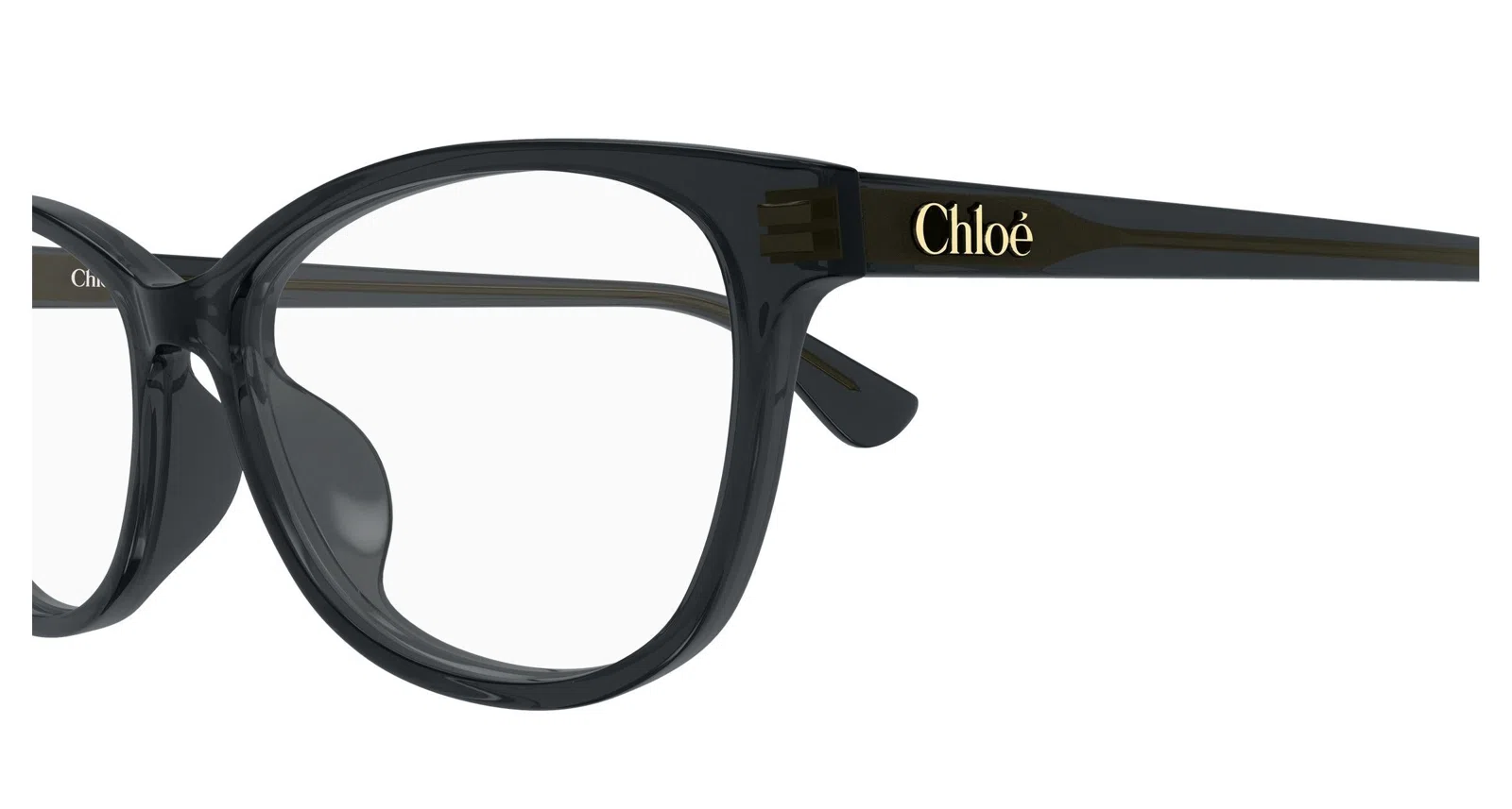 Chloe CH0394OL Eyeglasses - view 18